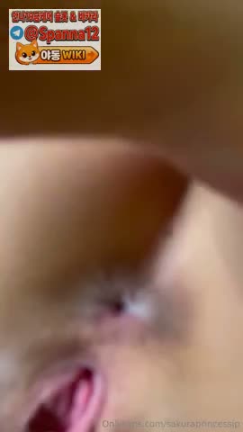 온리팬서 프린세스 사쿠라 1